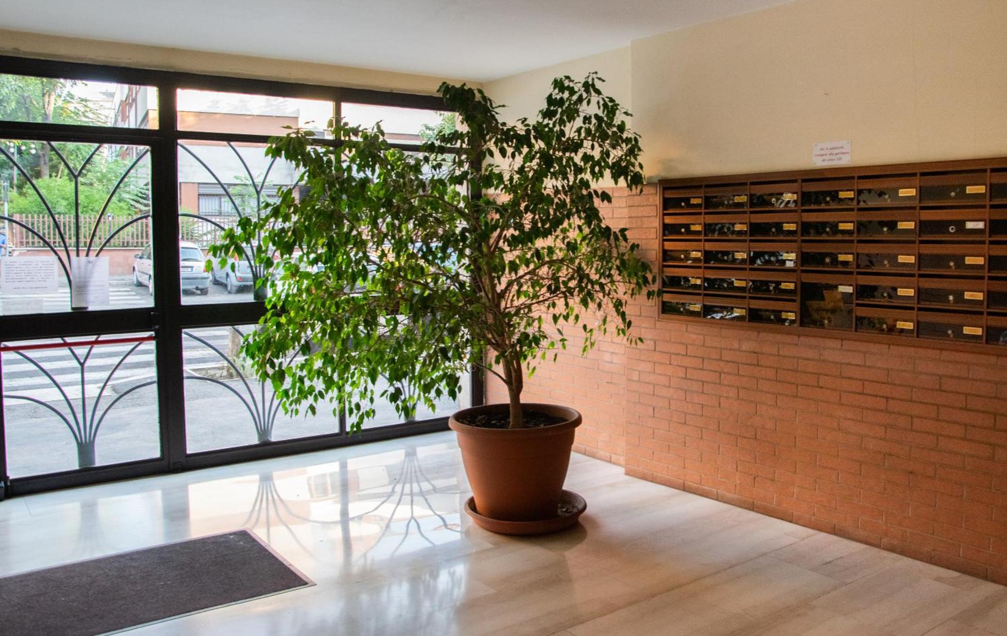 Mbs Marconi Bridge Suites Guest House ローマ エクステリア 写真